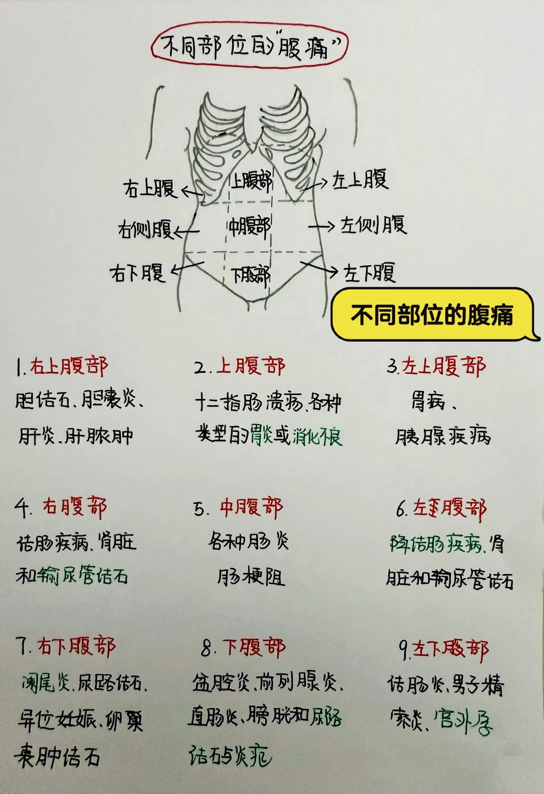 今日学习打卡——不同部位的腹痛