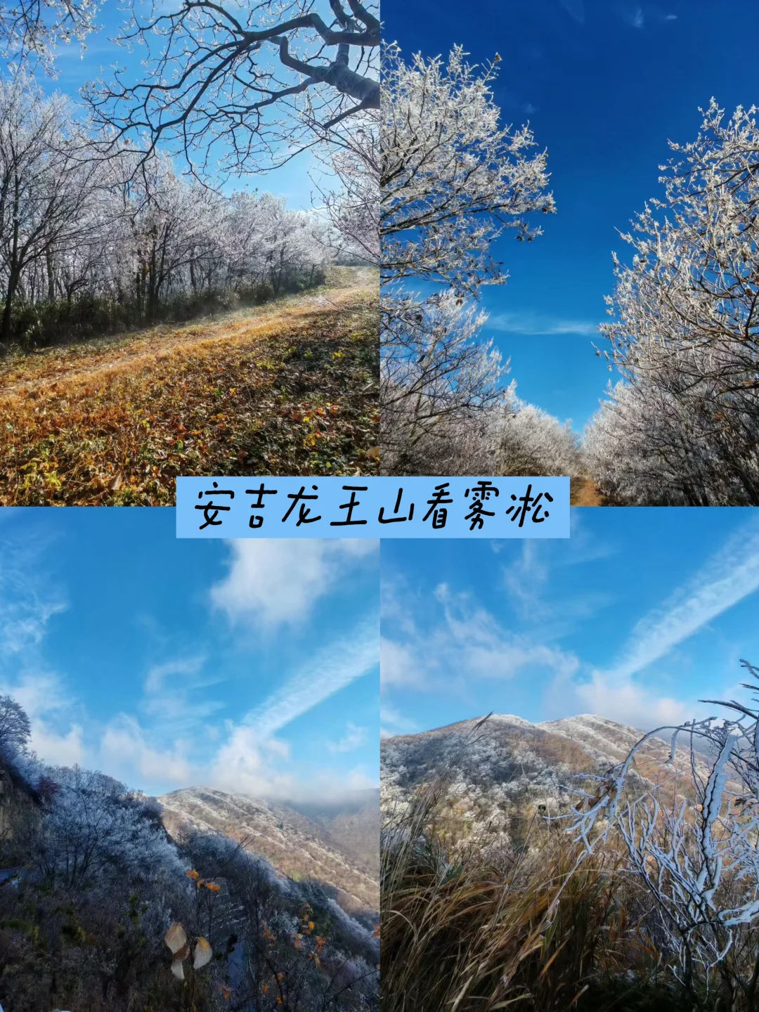 安吉龙王山的第一场雾凇来了