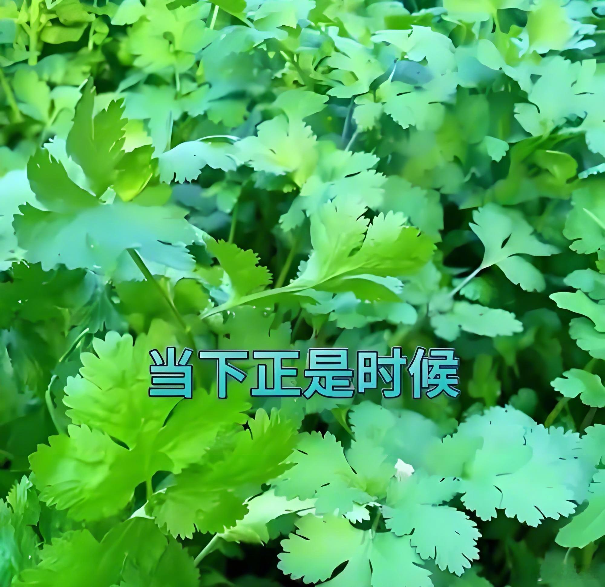 魏某被乌拉特中旗警方抓获，以职务侵占1286万移送检方，检察院只起诉了其中492万，法院最终判三缓四。

被害人质疑法院！为何判缓！
法院:公诉492我们可以缓刑！

被害人又去检察院，为何只起诉492万！
检察院:其余794万证据不足，退回公安补侦，可公安未予补证。

被害人再去公安，为何不补证！
公安: ​