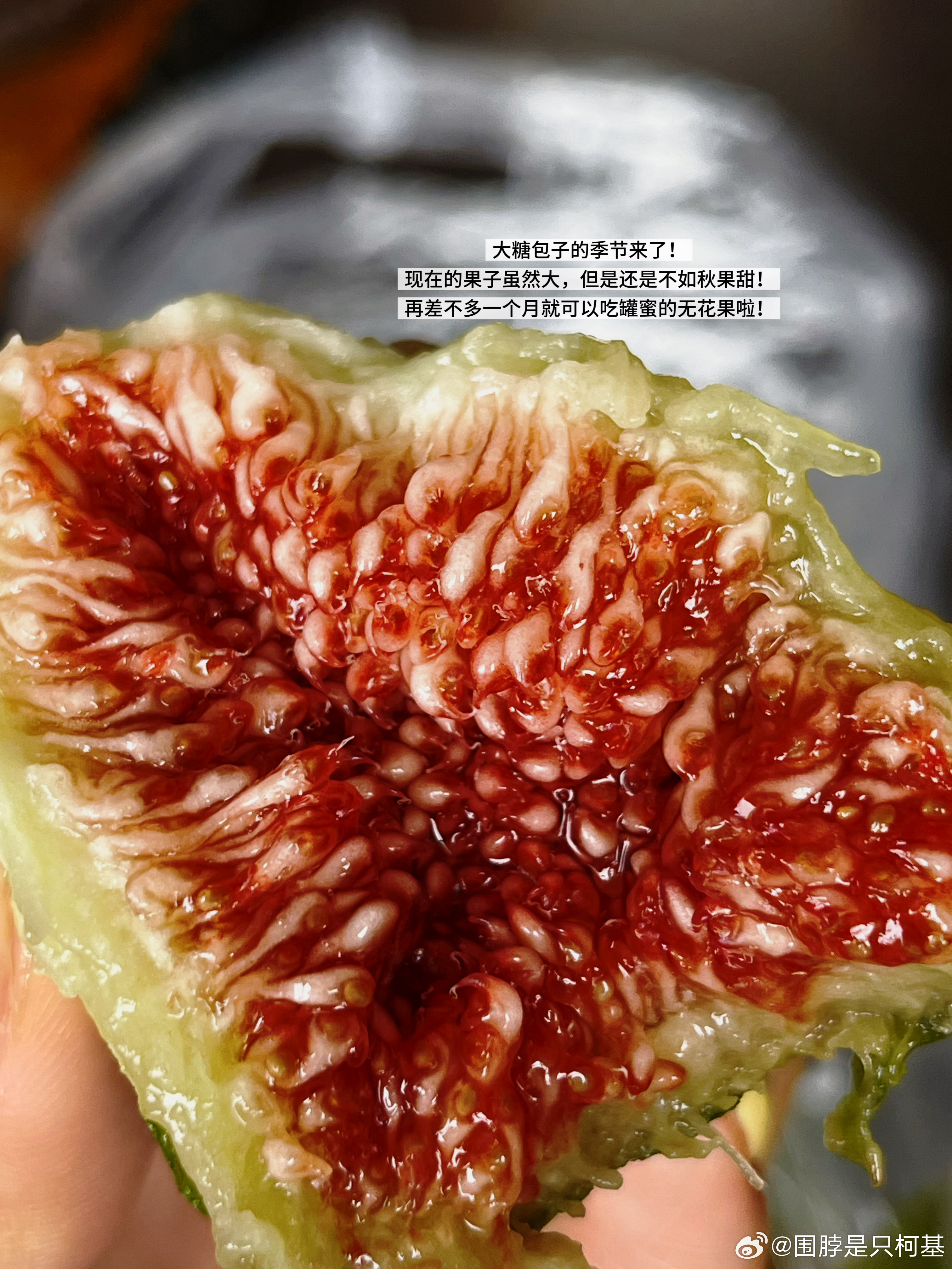 脱脂牛马第三天来了！ 幸运的是这几天都是户外好天气！  ​​​