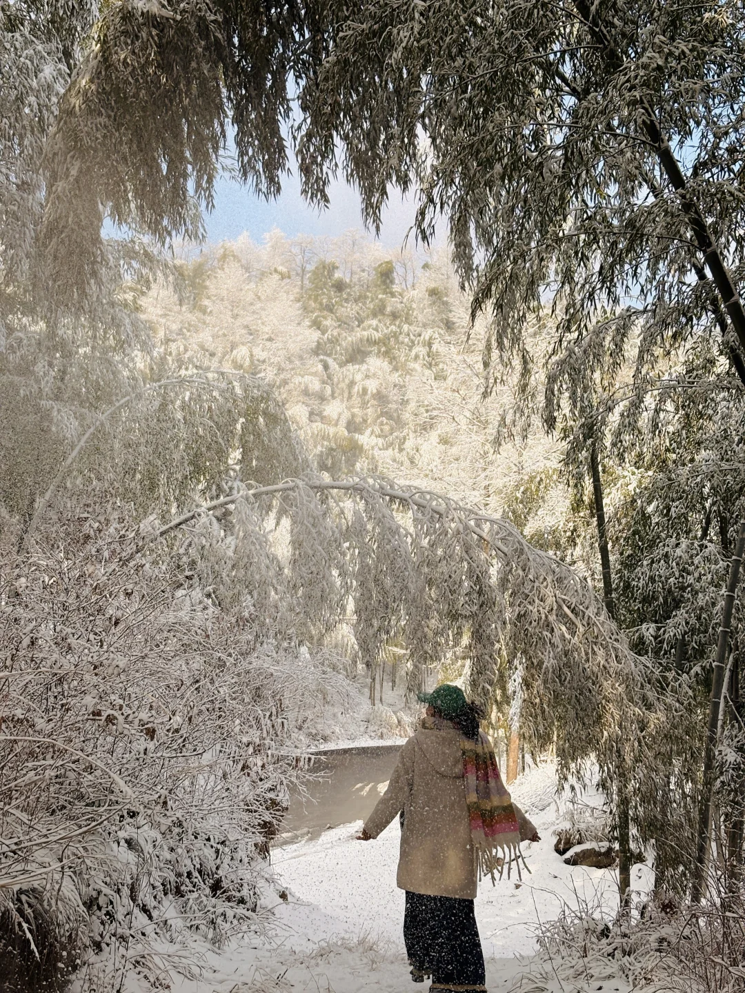 ❄️杭州今日雪景杀疯了❗️ 1.21 Live实拍🉑冲