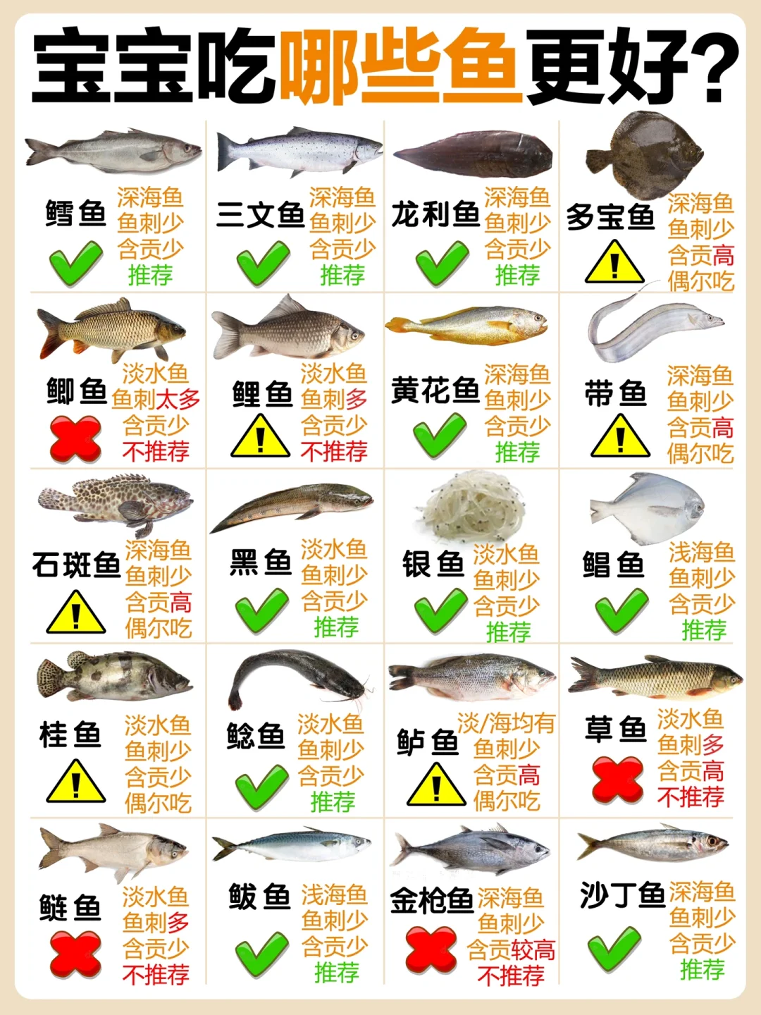 宝宝吃什么🐟鱼更好？20种鱼品尝😋大比拼