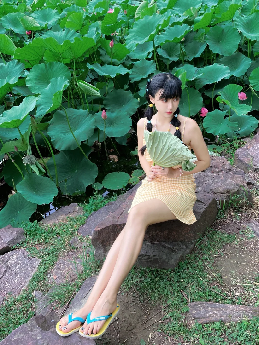 🪷魔都荷花拍摄好去处，趁着人少拍起来🎬