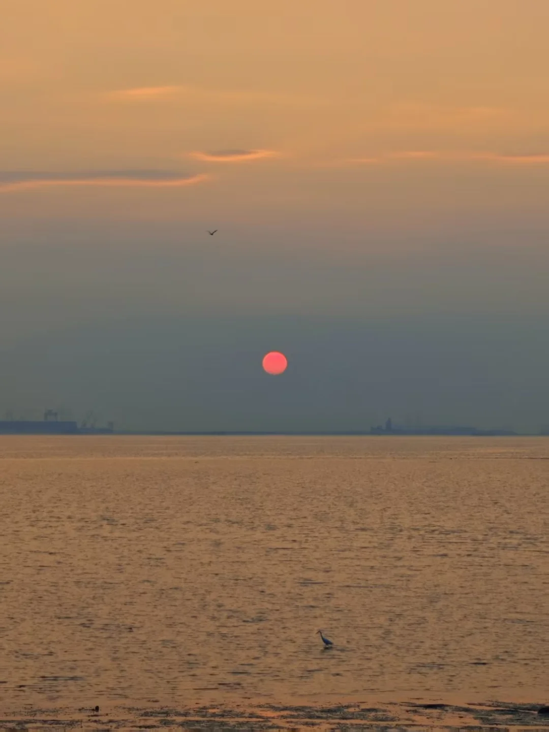 欣赏一场海边落日🌇