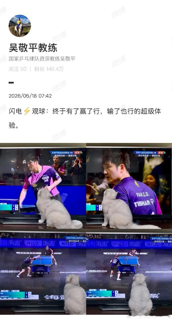 就冲樊振东敢于放下大满冠光环，单枪匹马勇闯欧冠联赛的魄力，克服没有随时...