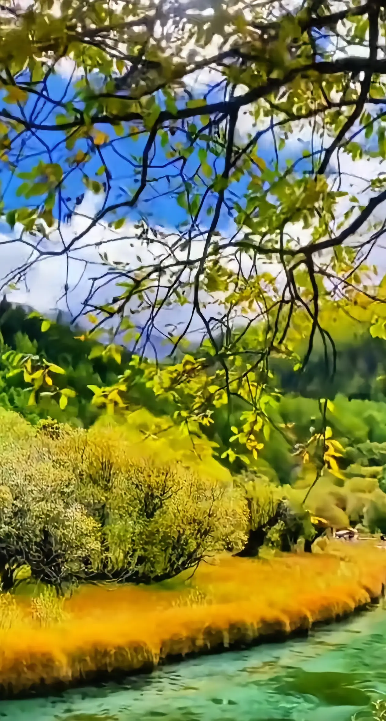 小米二手车四个月了，一折都不考虑。