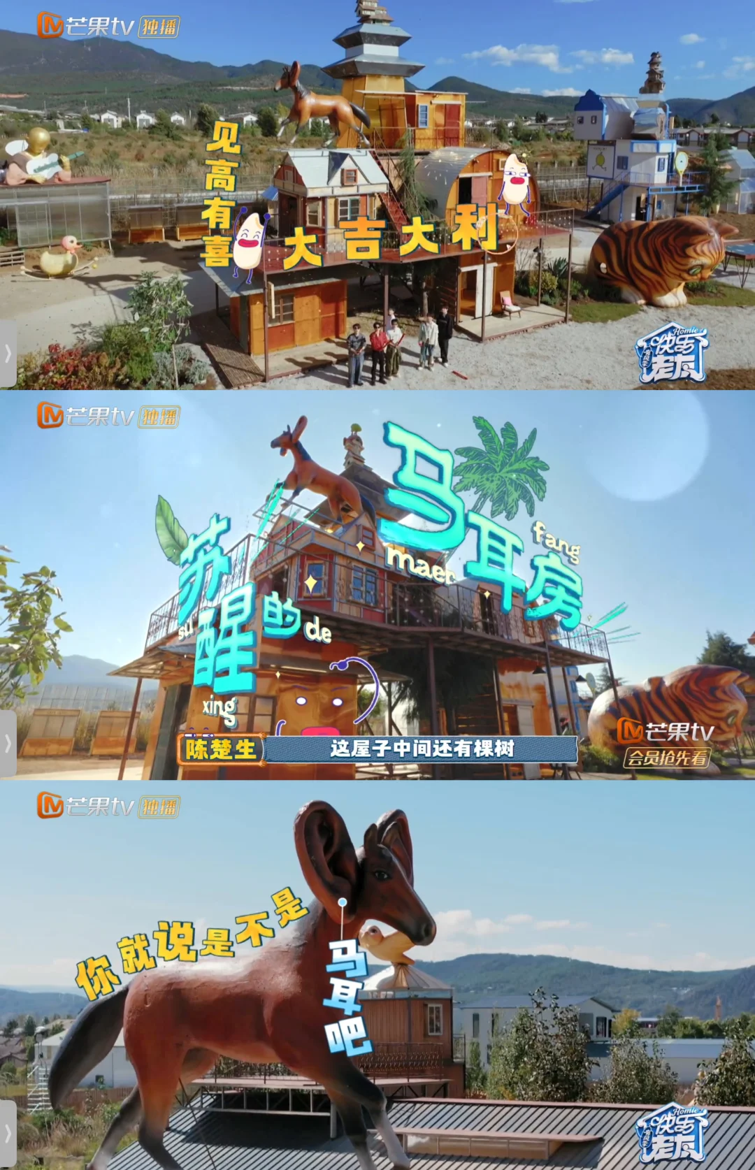 快乐老友有风季🔥来参观苏醒的“马耳房”
