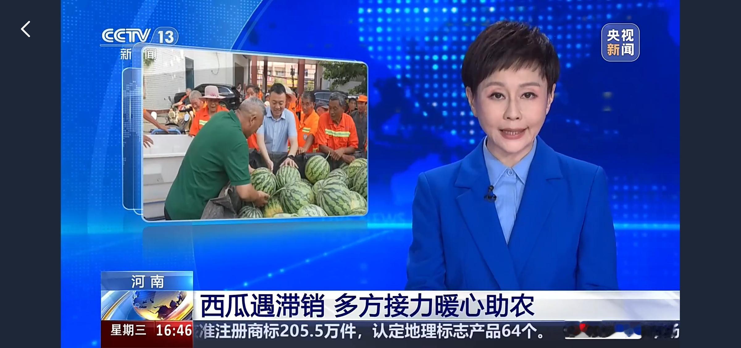 【河南西瓜遇滞销，多方接力助农，守护农户“甜蜜的收成”🍉】瓜果集中丰...