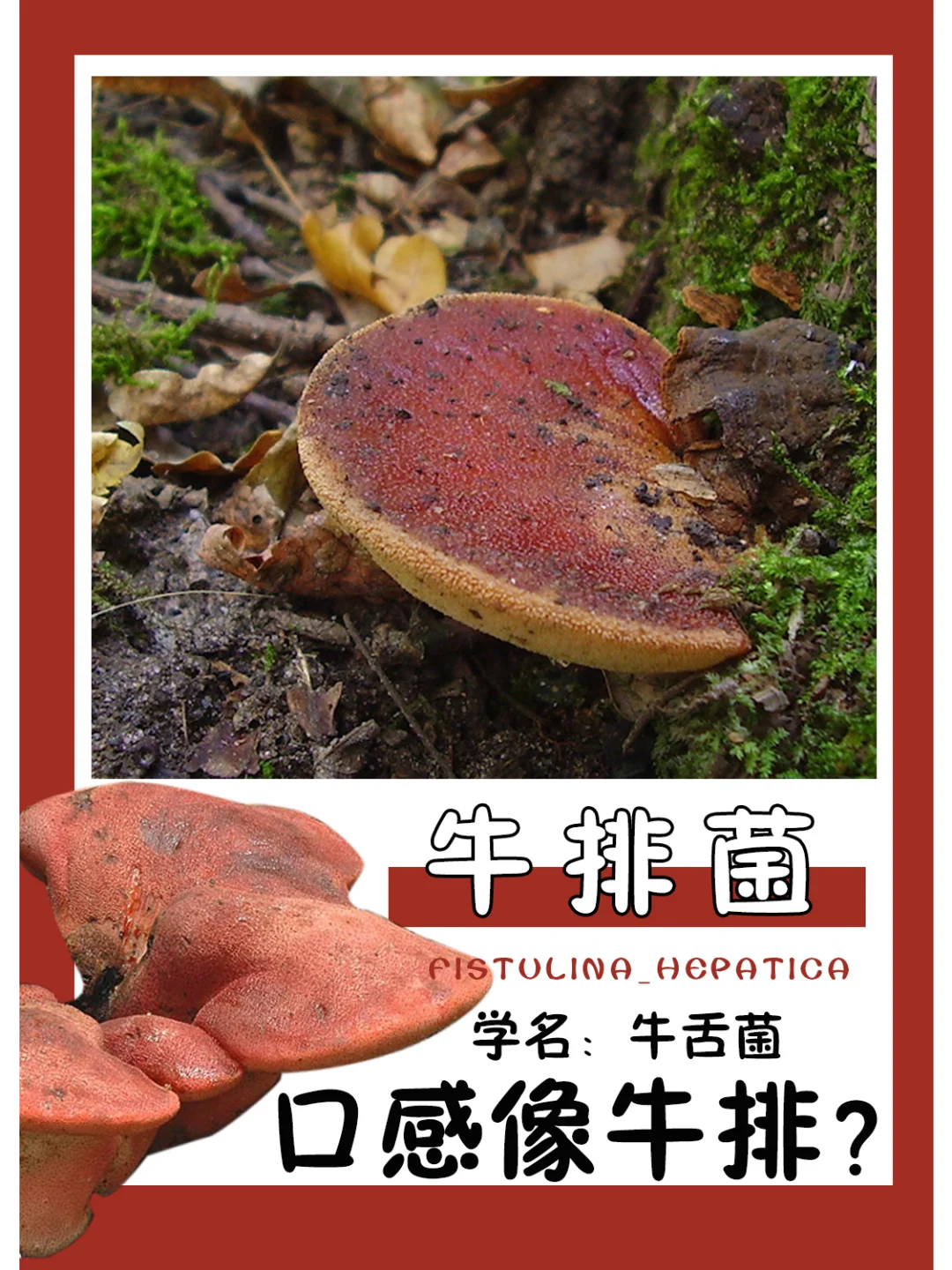 吃起来一定很香吧？