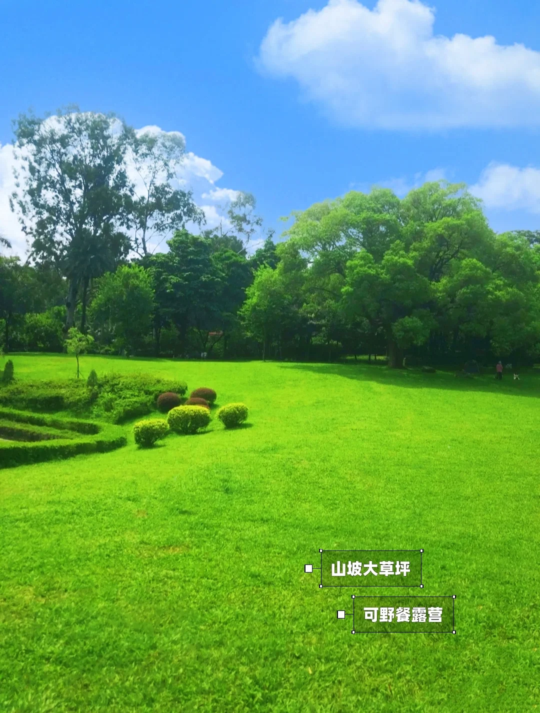藏在市区的山坡大草坪|🉑野餐爬山看日落