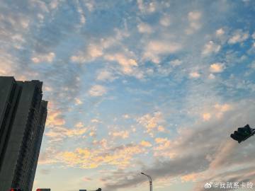 咋就那么搞笑的呀，本公司最经典的三句话：QL说的；YZ说的；QH说的！...