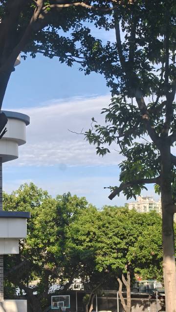今天广州这么夯的天气，我坐在芳村这园区办公室里真的一直在哭｡°(°¯᷄...