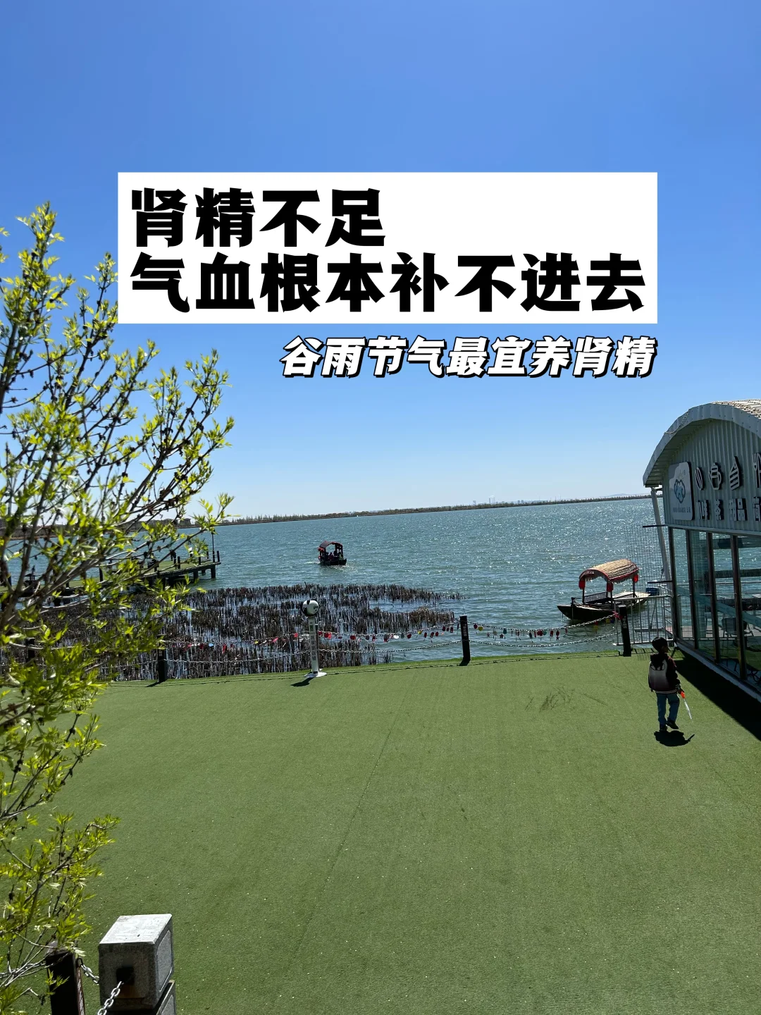 肾精不足，气血根本补不进去！