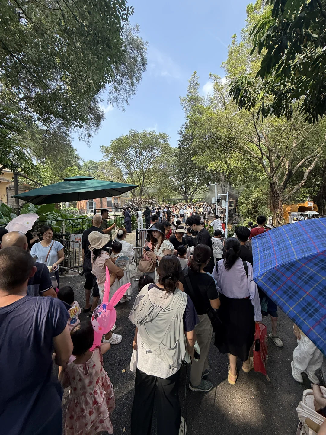 广州动物园8.16实况！！！人人人人人！！！