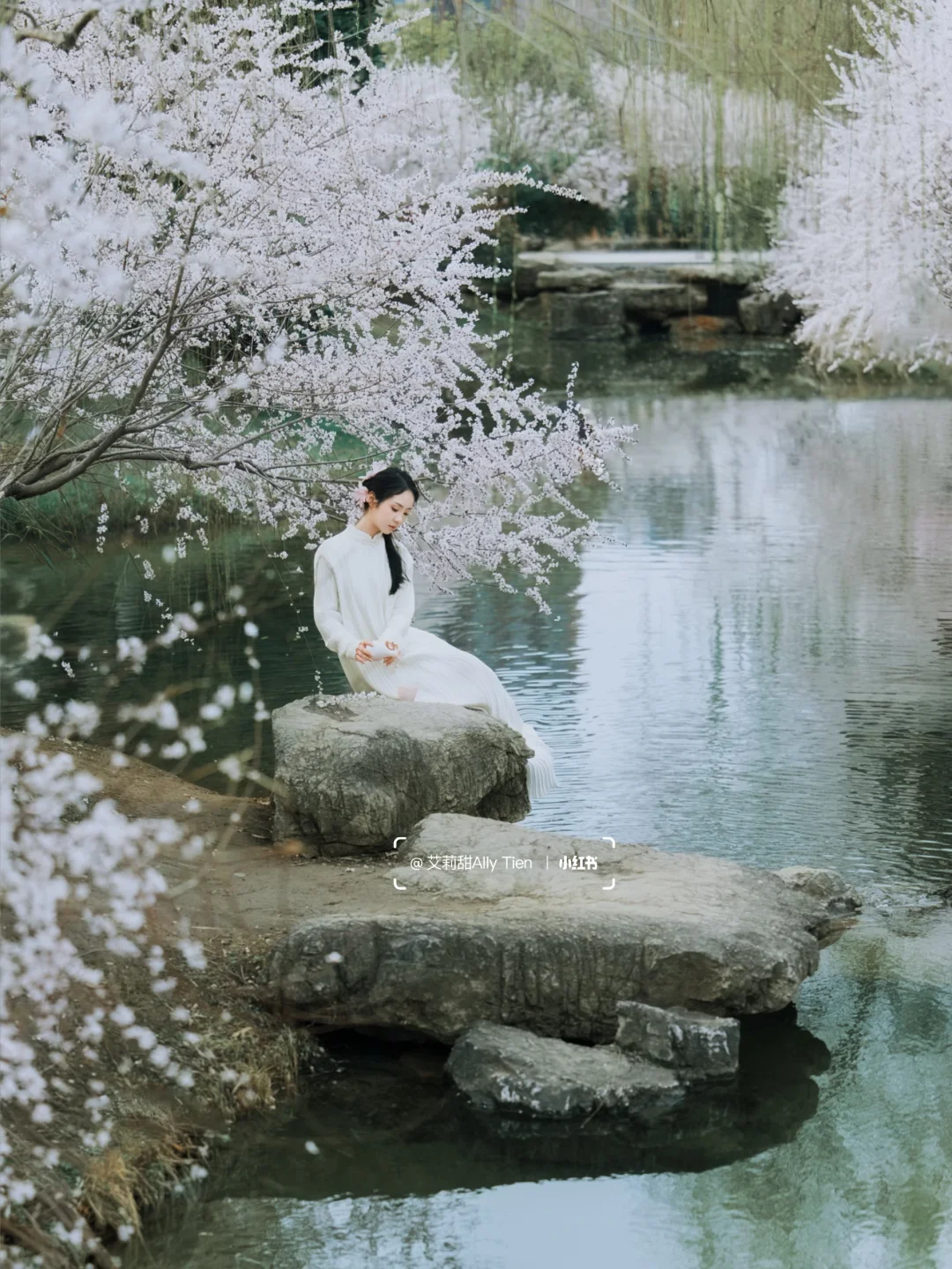 以为樱花够美了，直到遇见水畔山桃