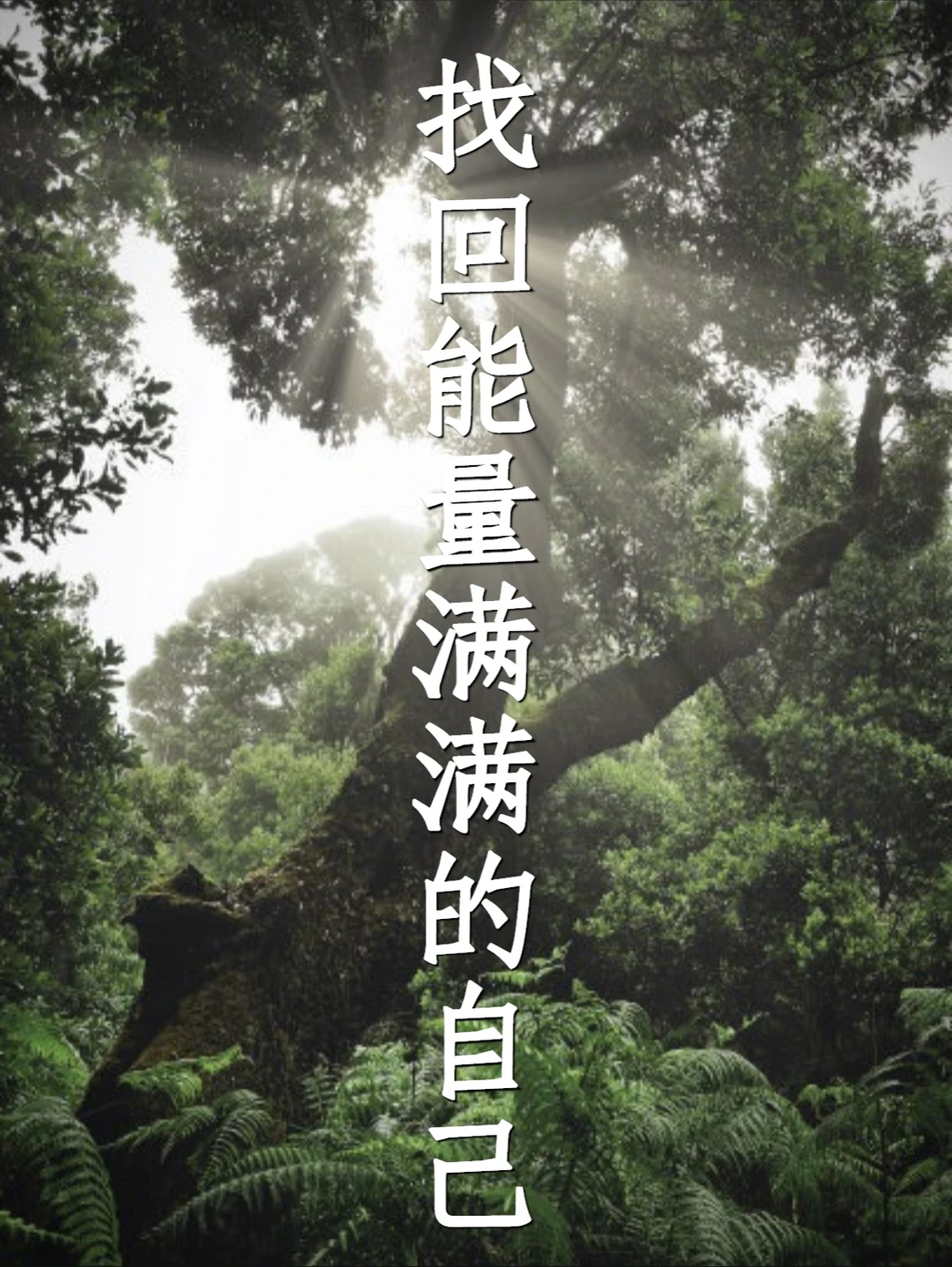 坚持一个月，找回高能量的自己