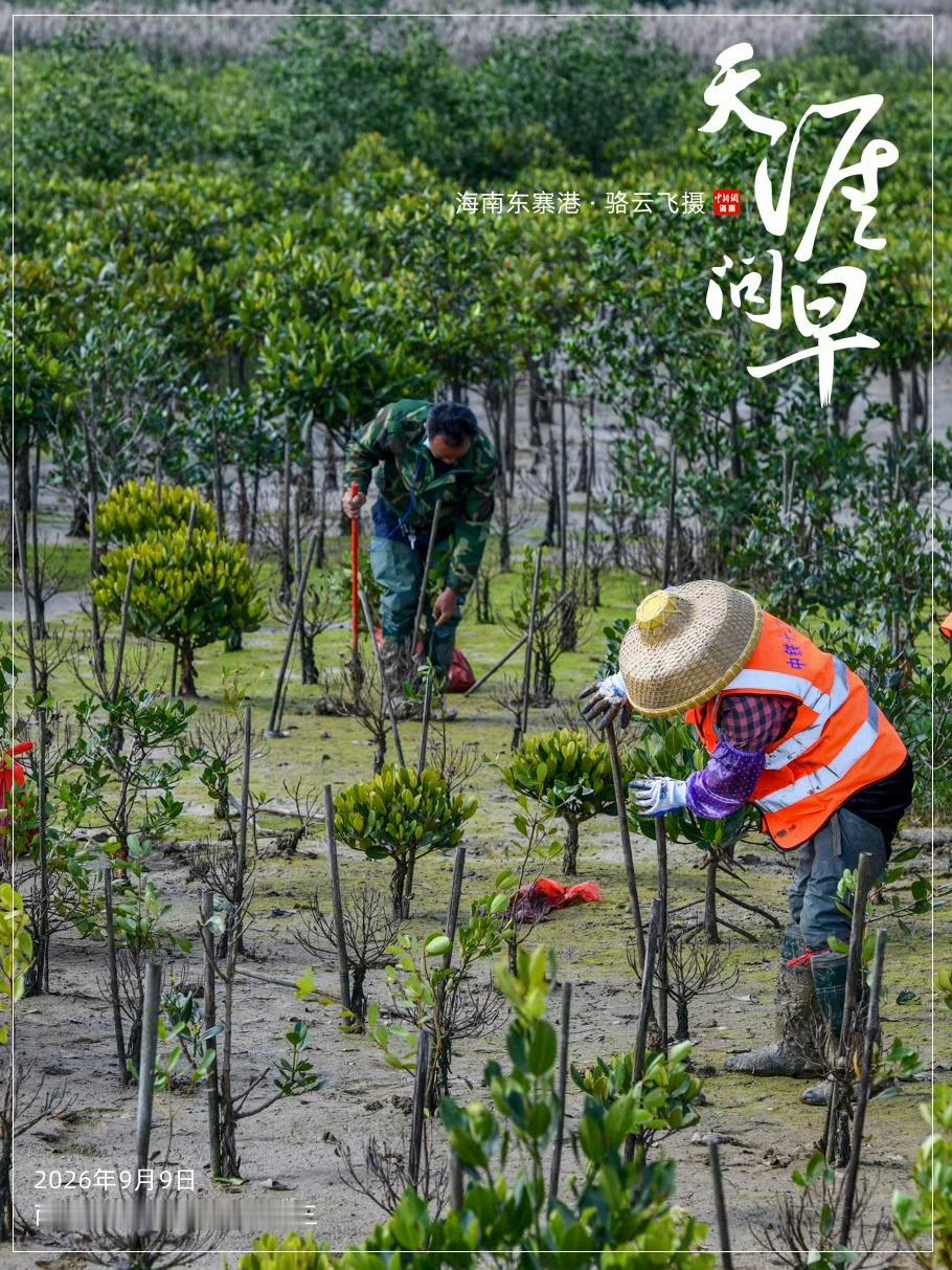 #早安[超话]##天涯问早# 每一份小小的坚守，终将汇聚成浩荡春风[微风]，守护这片生生不息的绿意🌳~早安[兔子]

#海外华媒看海南##海外华媒海南行##这段话杀死了内耗型人格##平陆运河9月16日建成通航##印度21岁女运动员因外貌走红##澳门冠军赛男单32强赛##女子吃墨鱼吃出剧毒红斑斗蟹# ​