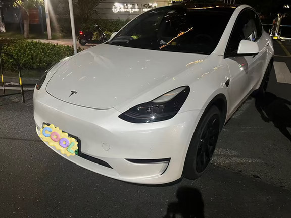 特斯拉 Model Y 21款 长续航全轮驱动版