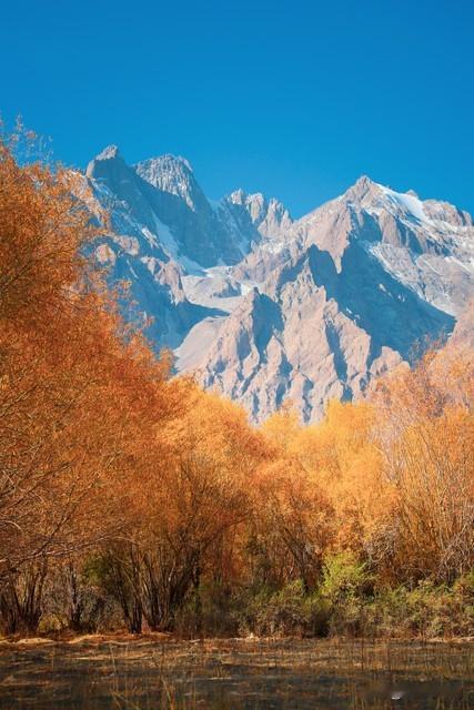 社交免疫系统崩溃？三步急救法让你情感重生！