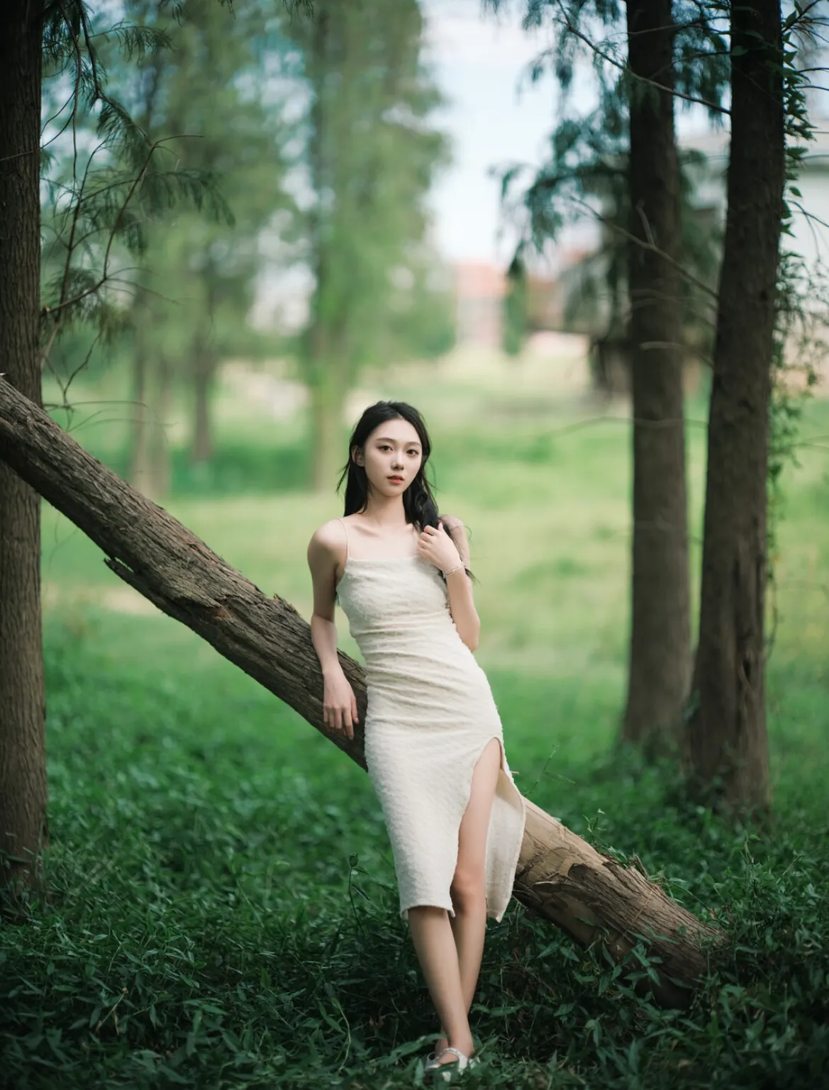 森林中的白裙少女，自然美与优雅的完美结合。😜