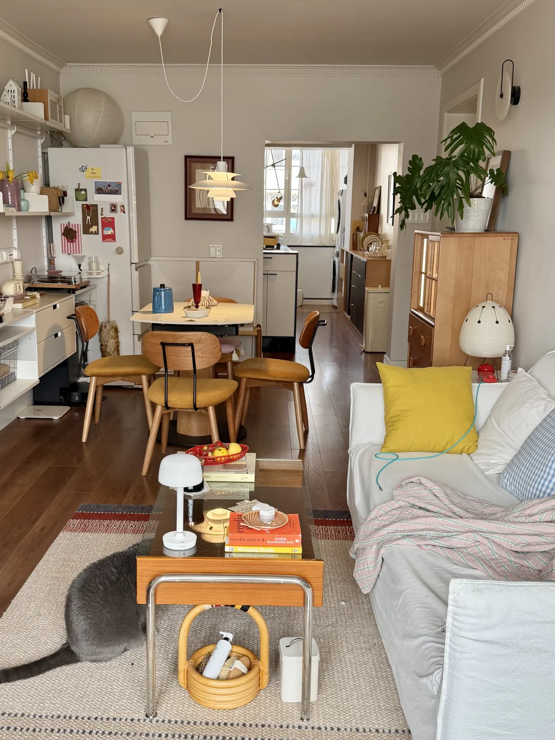 🗝 房子越住越好用，属于我和猫猫的安心