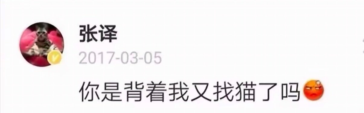 #张译[超话]#  
禁止背着张译找别的猫！ ​