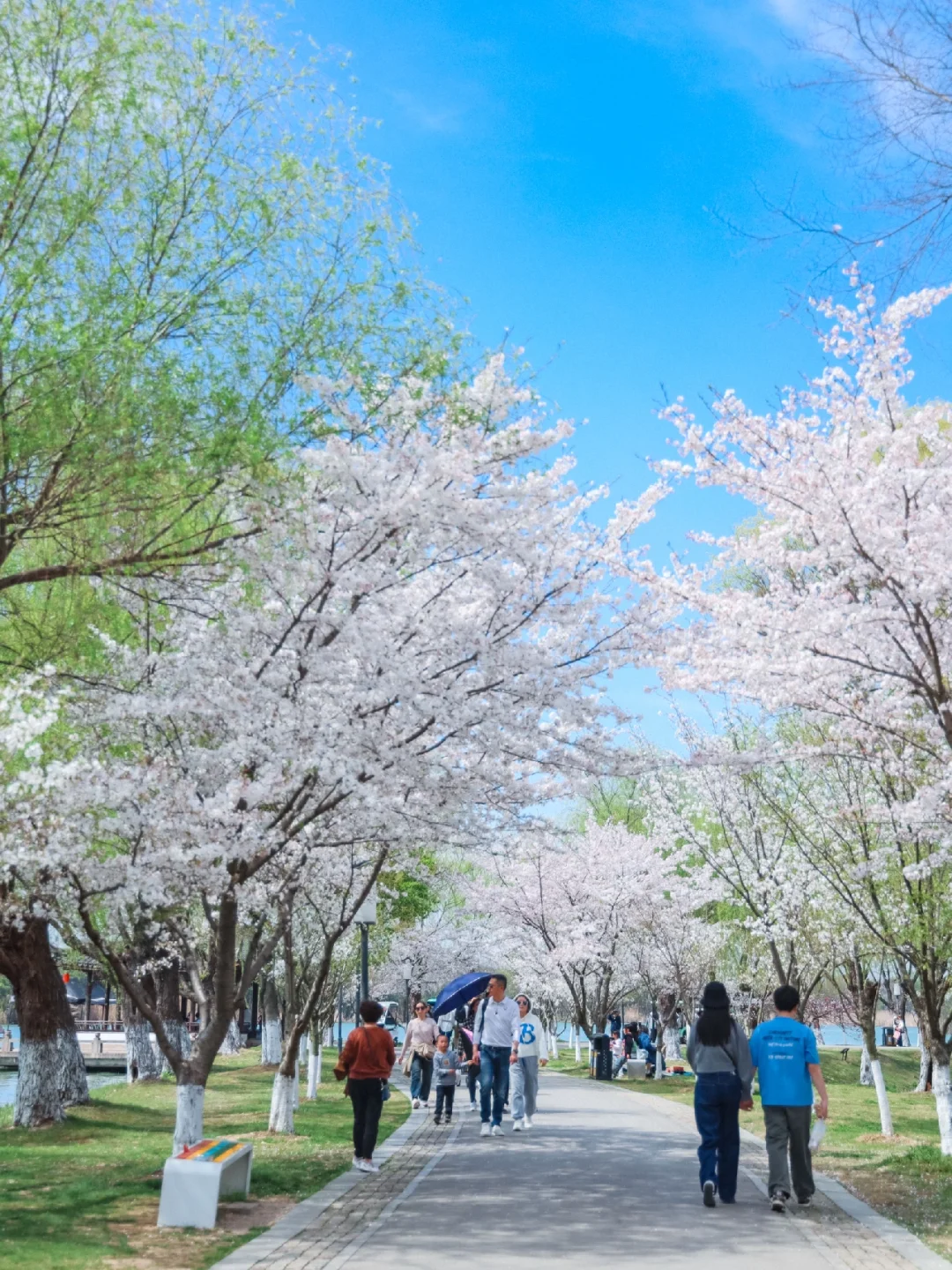 🆘原来苏州不止有园林，还有它❗️太好看了吧