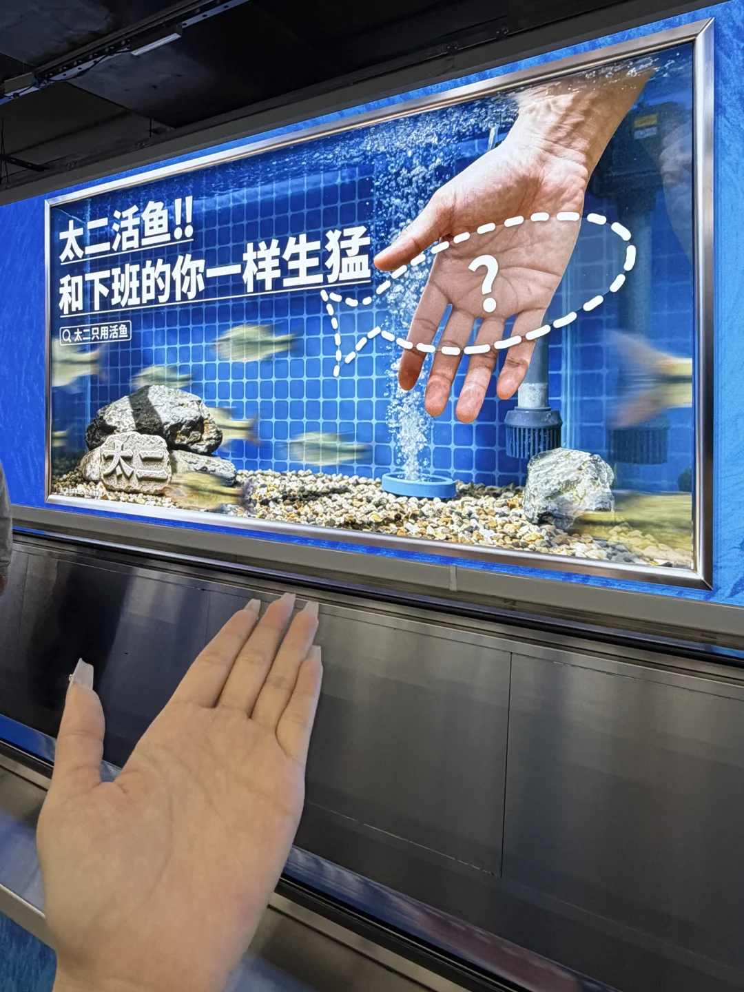 深圳地铁上神广！最有活人感的广告出现了。。。