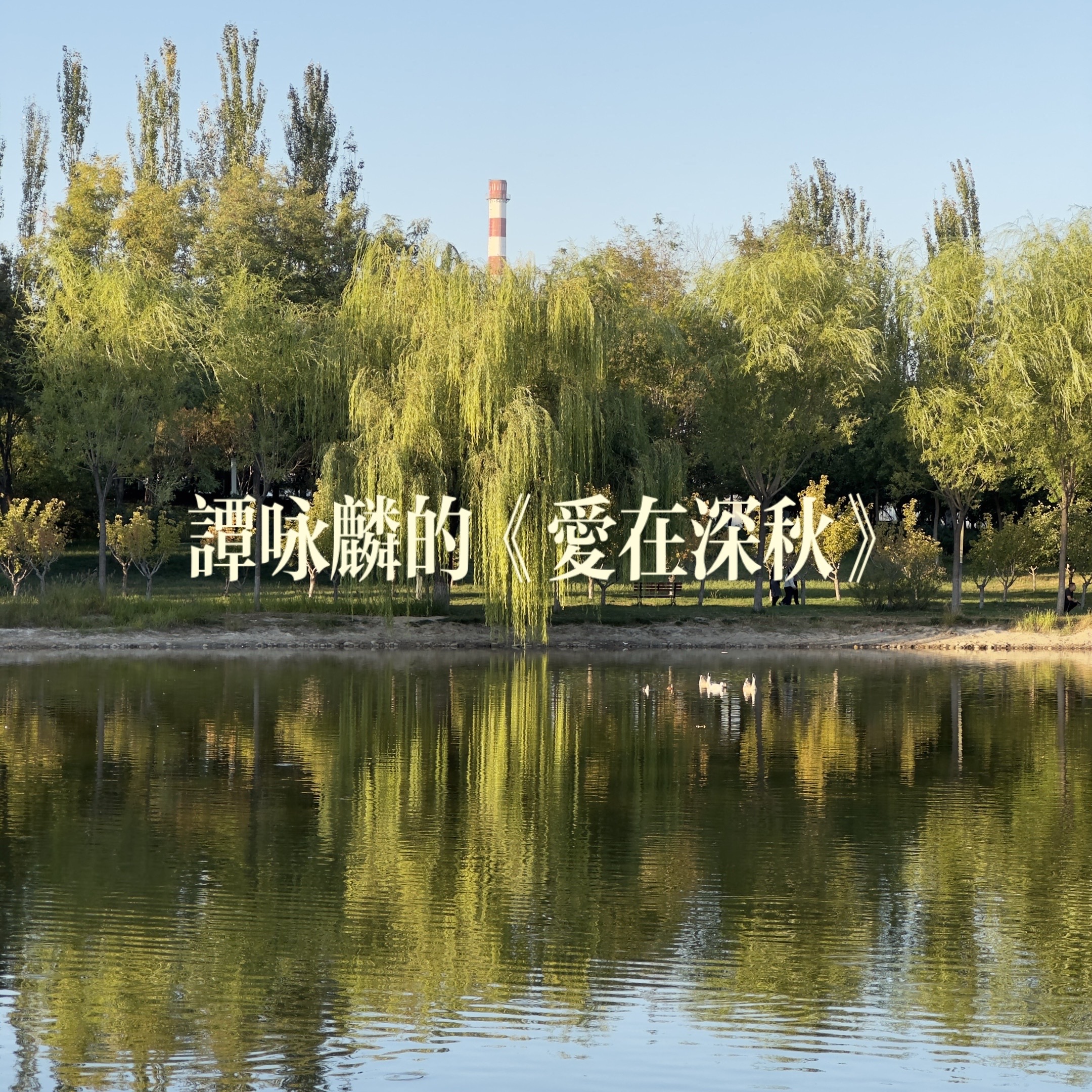 一曲谭咏麟《爱在深秋》，永恒的粤语经典。淡淡的旋律，藏着岁月里的离愁与温情。老歌入耳，重温当年那份感动。
爱在深秋 谭咏麟