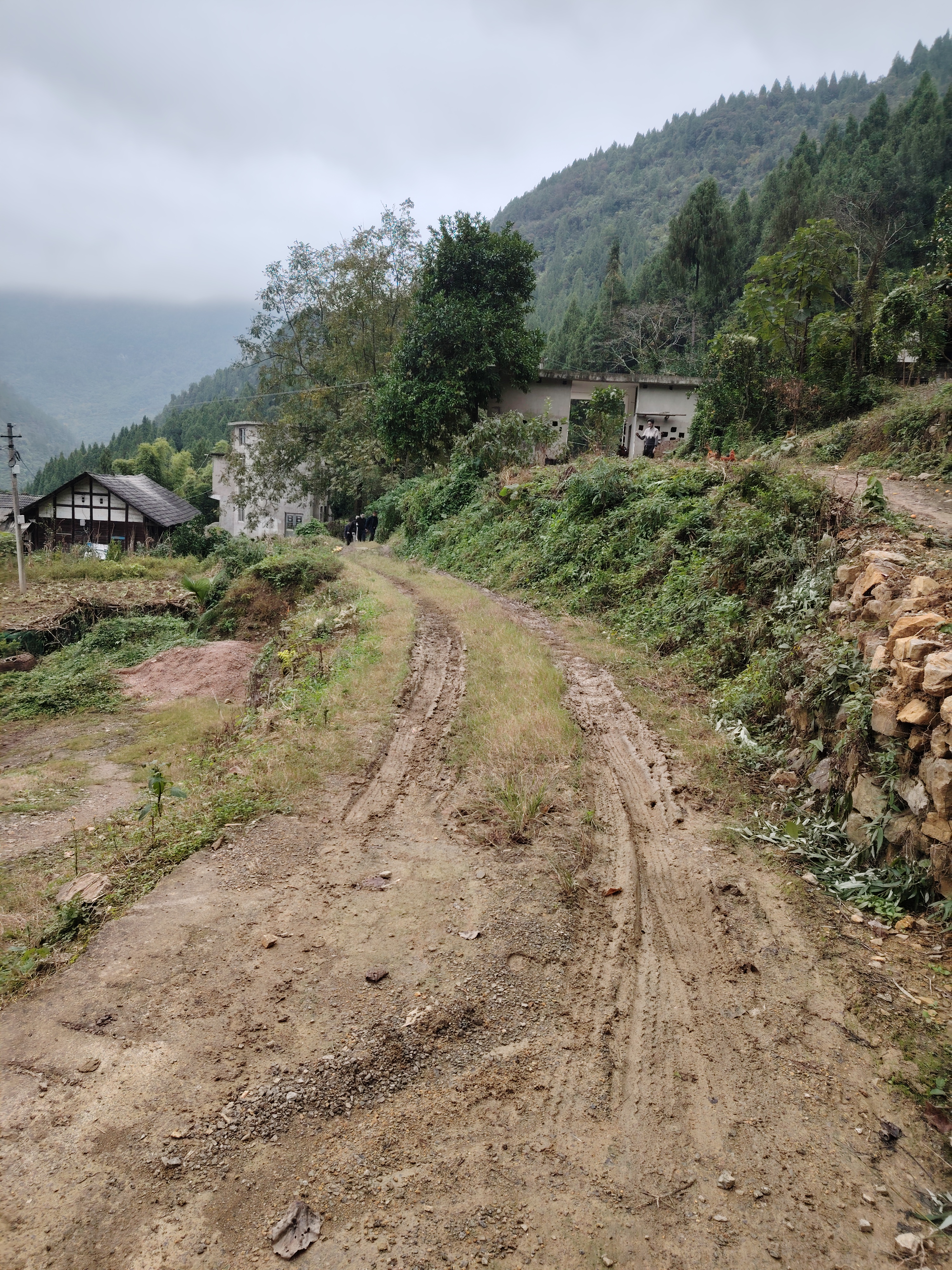 <p>婚后关系疏远该如何改善泥泞路 <!--{img:0}--></p...