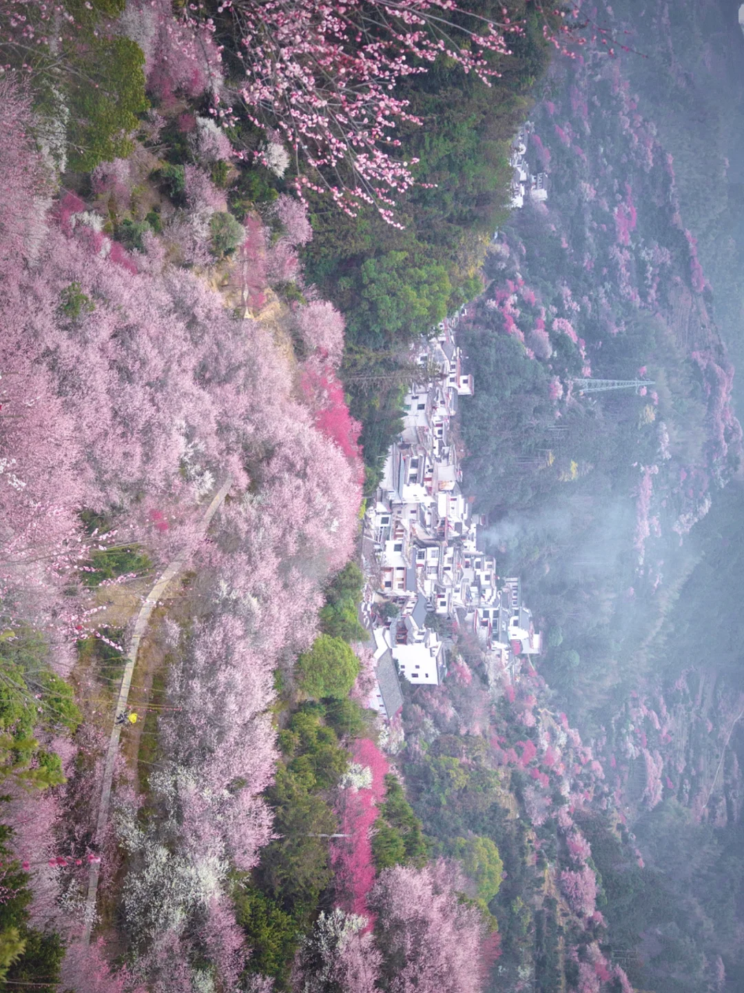 躲一场春雨，误入了仙人隐居的世外桃源
