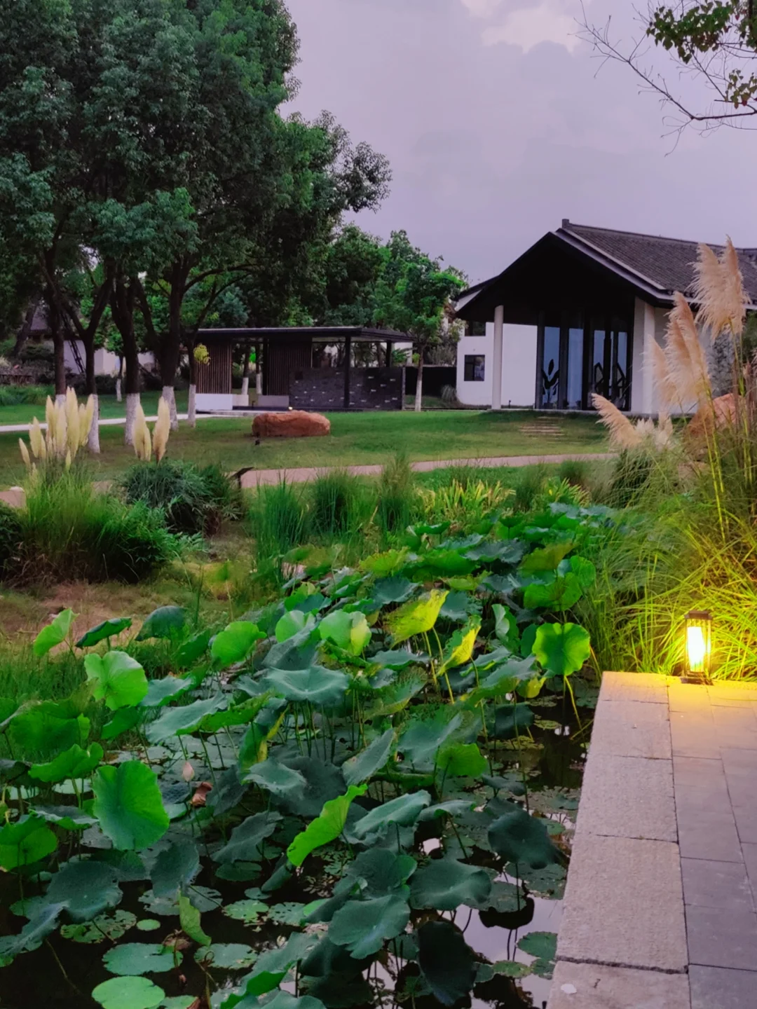 合肥99%人都不知道的野奢宿集❗农家避暑