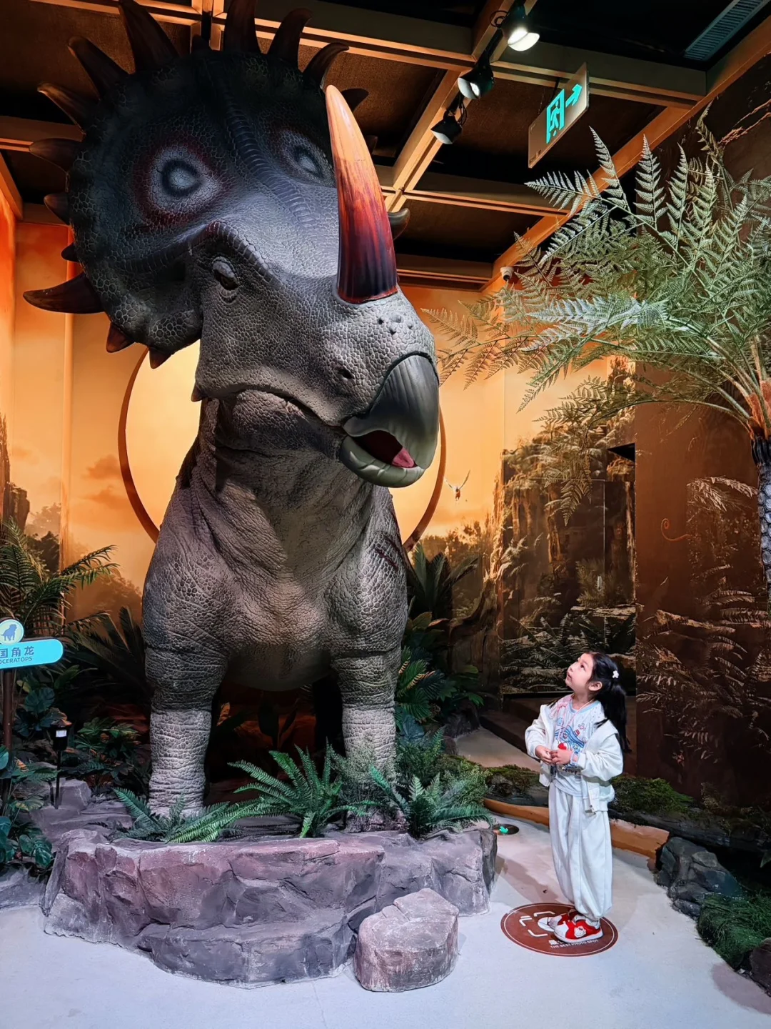 京津冀假期遛娃好去处，室内沉浸式逛🦖公园
