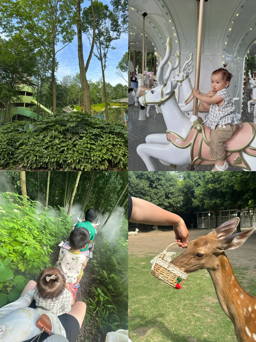 哇塞🤩成都1h！居然有这么大自然游乐场🎠