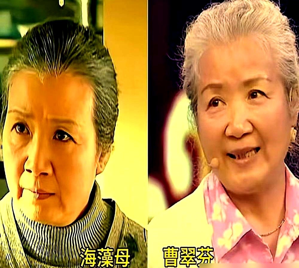 当年拍《蜗居》，海清死活要演海藻，结果被滕华涛一句话撅了回去：你不够漂亮。

当时黄磊向导演推荐海清，说她演技好还便宜。海清见导演时抓着剧本不放，认准了海藻有挑战。但滕华涛不吃这套，直言海清的脸不是海藻的脸，硬把她按在了海萍的位置上，把海藻给了李念。导演的理由很实在：海萍这角色不好找人。

后来的事
