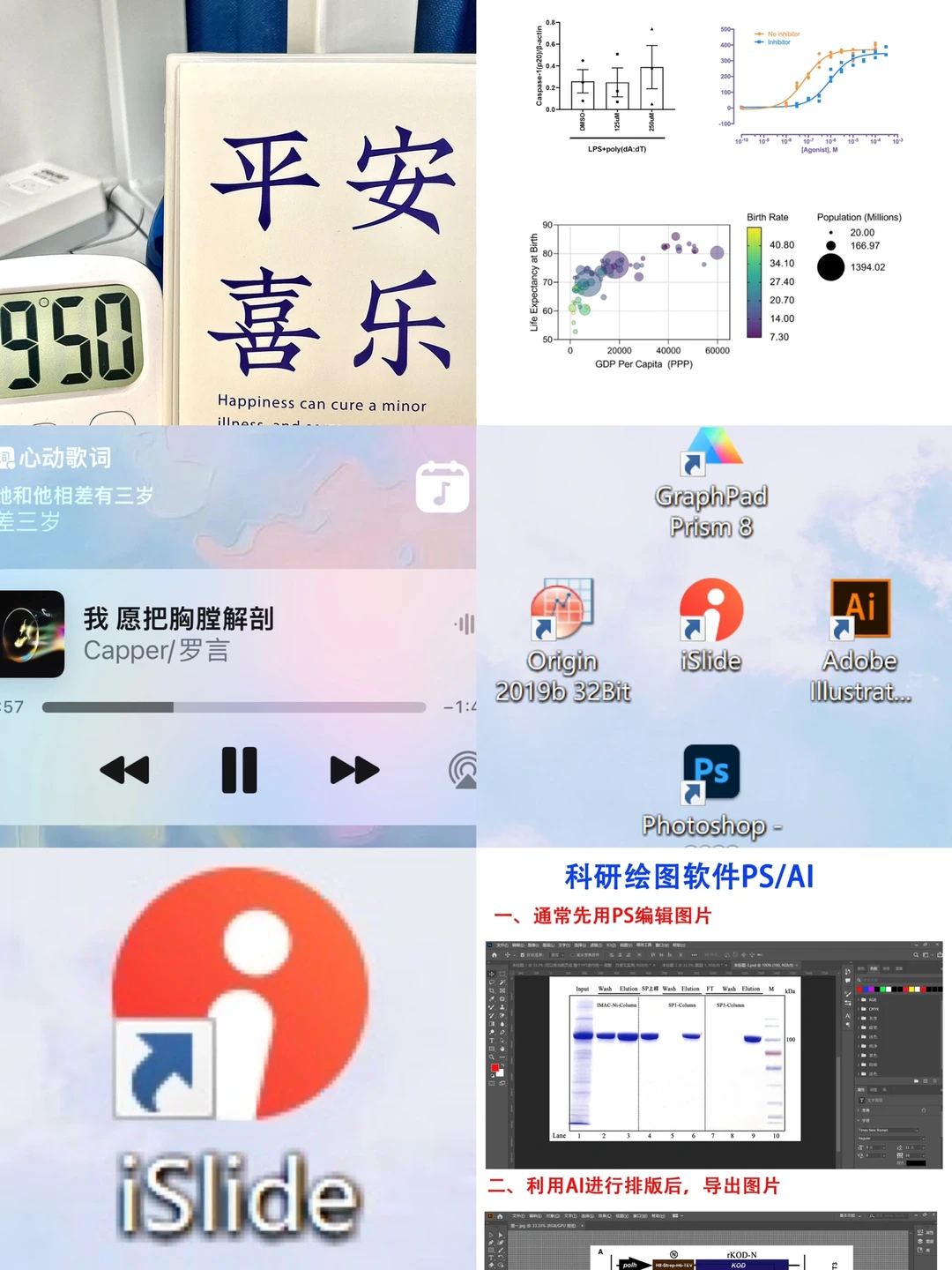 PPT汇报｜🔥让你提高效率的工具分享