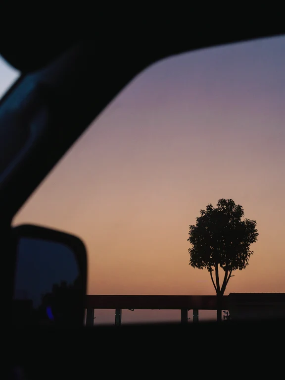 车轮向前 日出向东 🌅