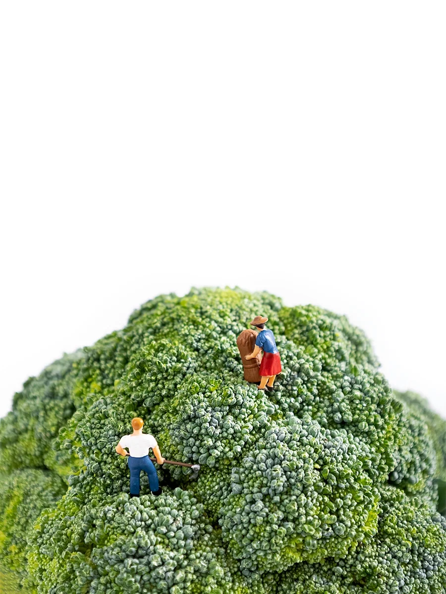 辅助“控糖”的营养素，一文全get到✔️