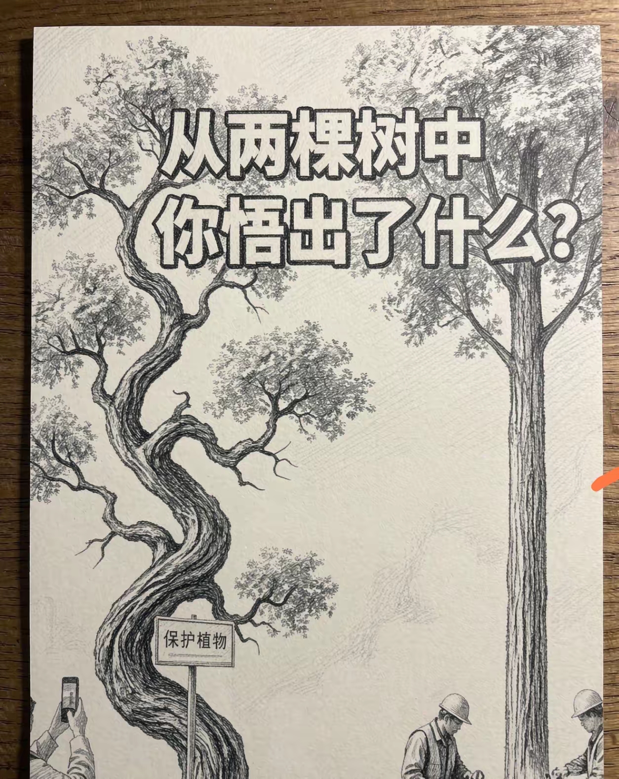 看了这张照片，你想到了什么吗？