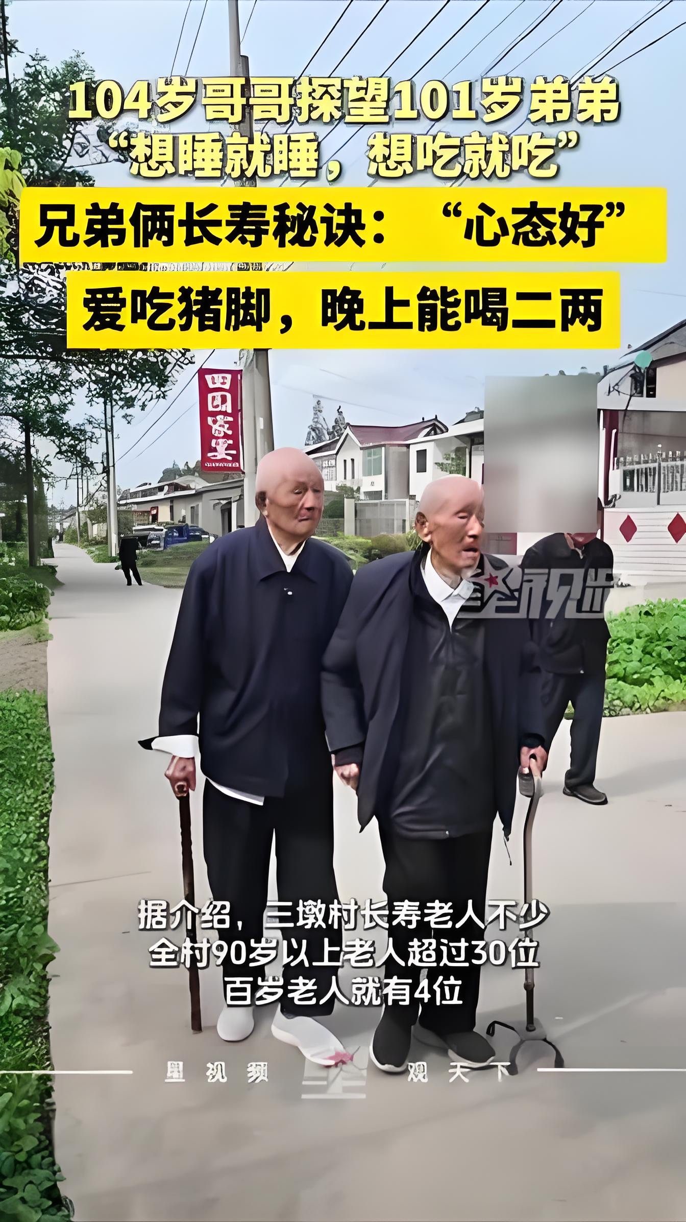 104岁哥哥101岁弟弟，天天凑一块遛弯。扬州江都三墩村俩老头，一个12岁出门当瓦工干到老，一个53年入党73年党龄，如今耳不聋眼不花，身板直溜溜说话带响儿。

弟弟每天拄着拐推着轮椅也要去陪哥唠嗑，天晴了俩人结伴村里溜达，百来口四世同堂的大家庭，后辈全守在本村，子女轮流接家里养。

这哥俩长寿的门