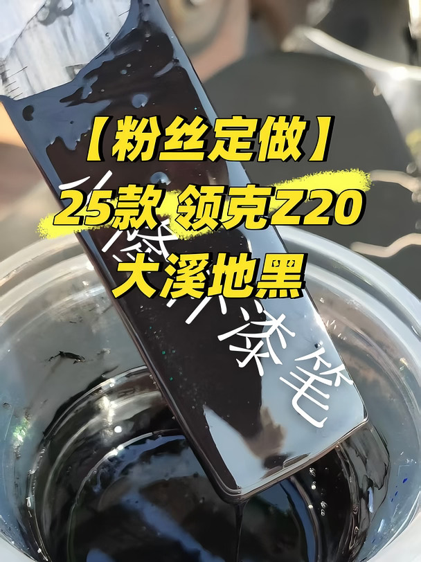 【粉丝定做】25款 领克Z20 大溪地黑
