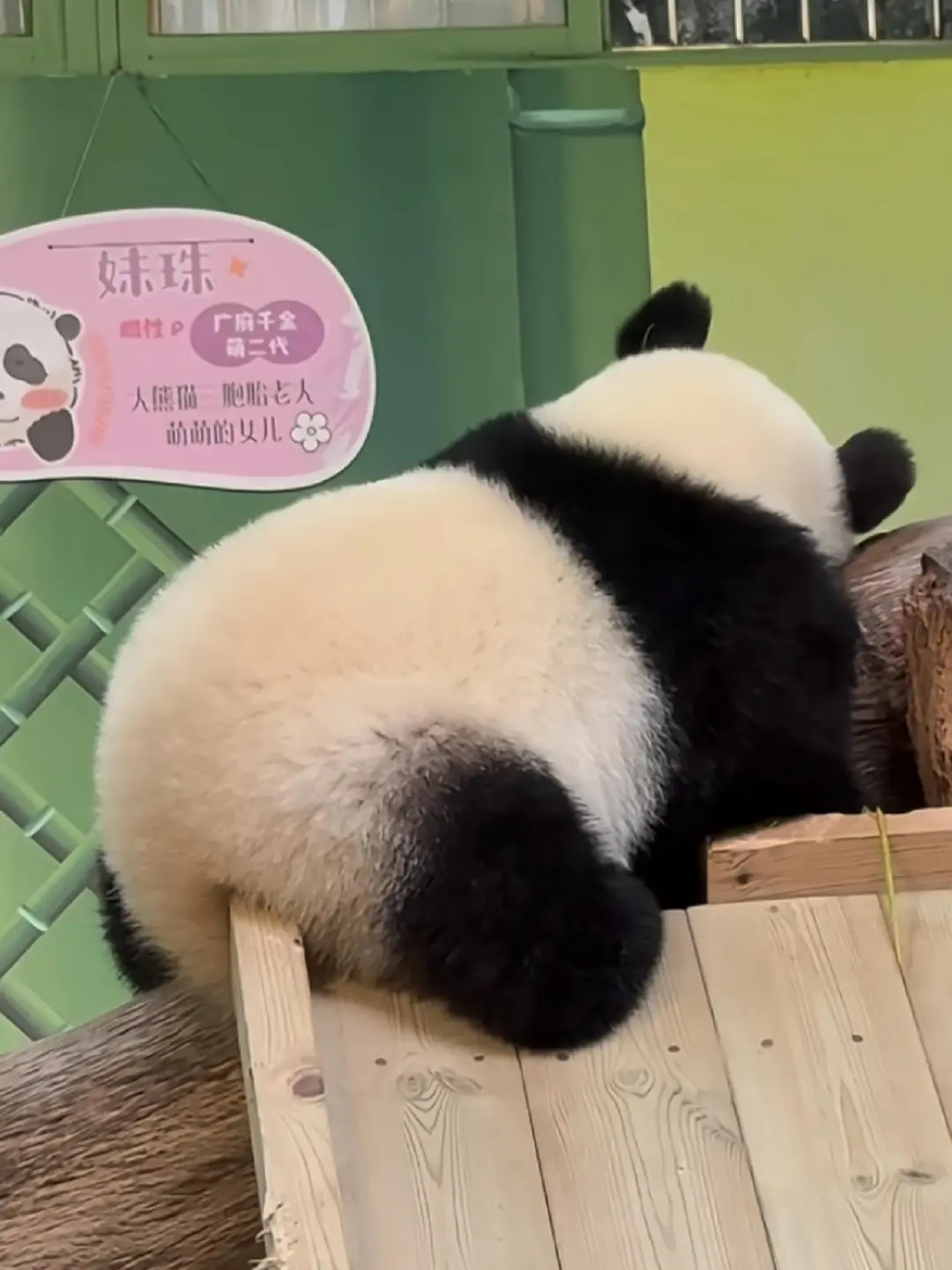 👀看屁屁识崽！这么可爱好想rua