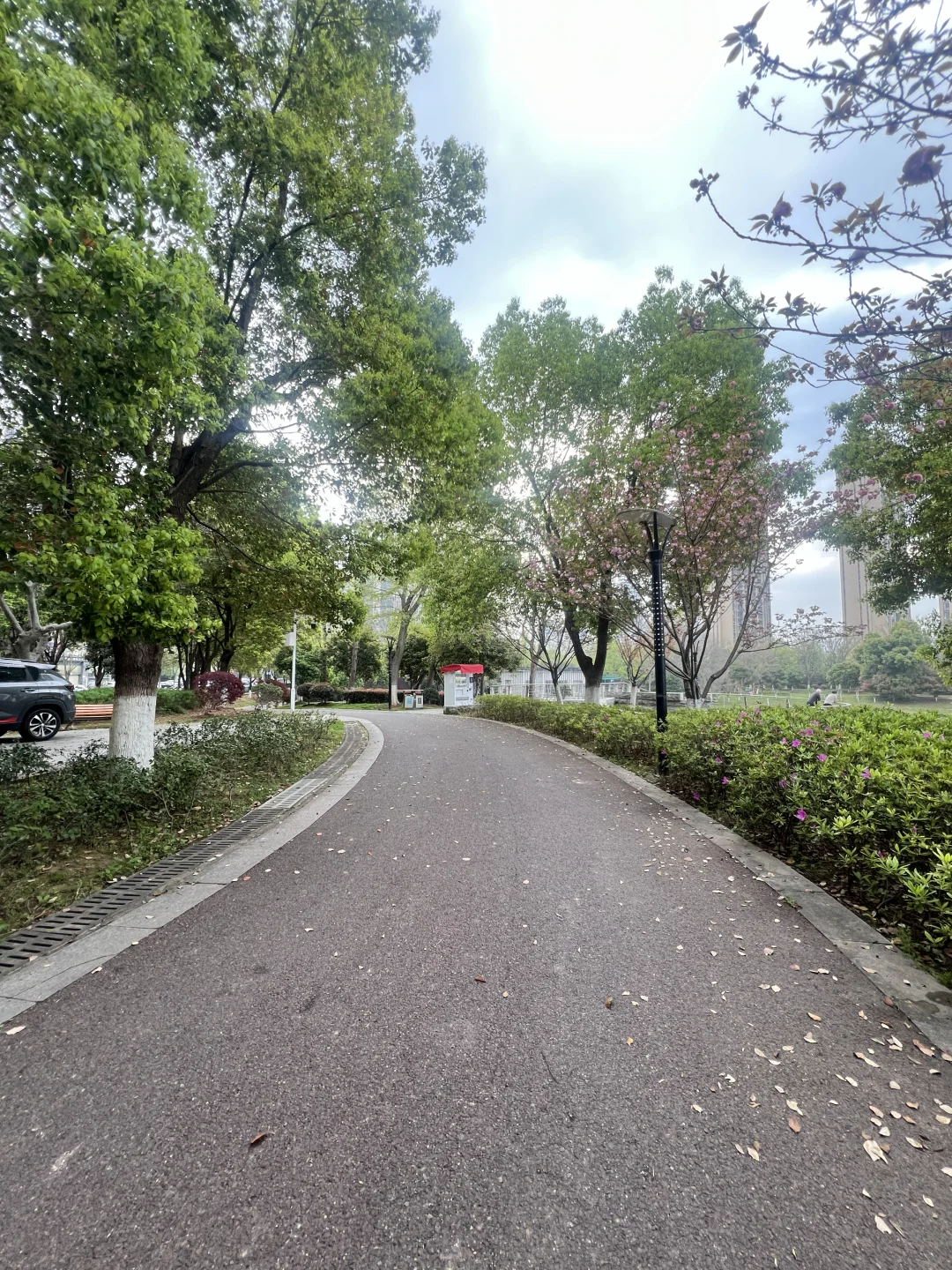 如果你总感觉没精神，那就去跑步吧