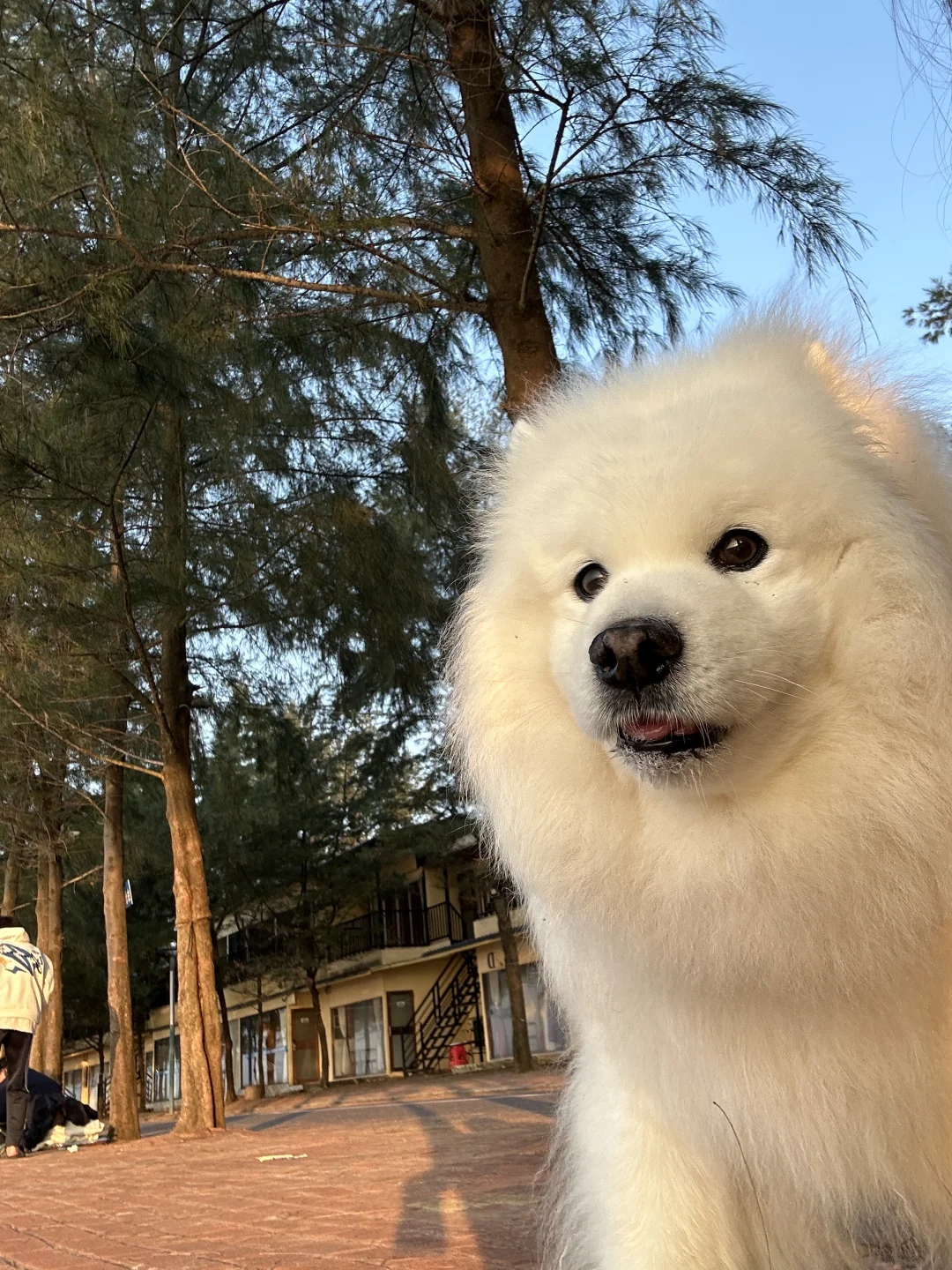 “一觉醒来又给我干哪来了”