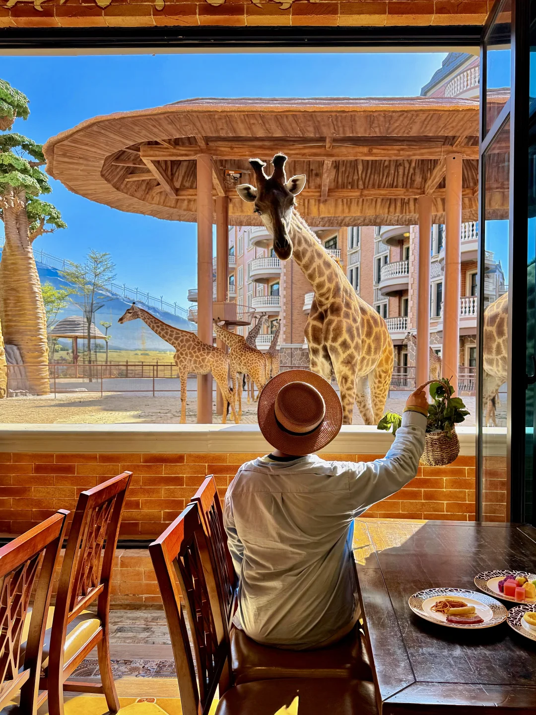 朋友圈问疯了！居然住进现实版疯狂动物城🥹