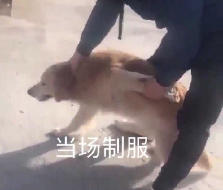 丰富一下你的表情包