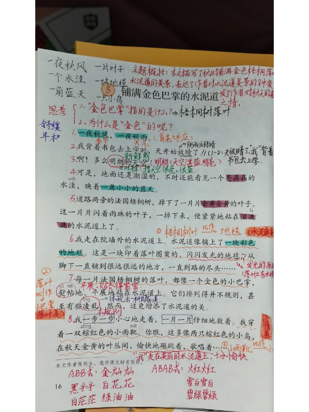 三年级上册5《铺满金色巴掌的水泥道》