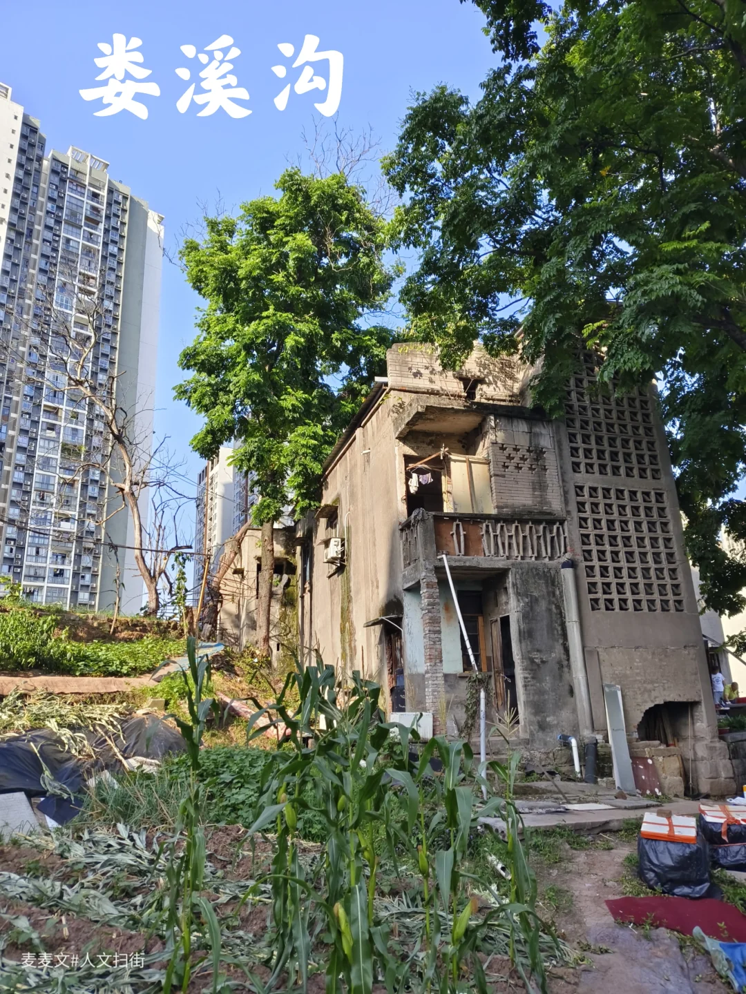 【巴南】当娄溪沟的旧时光遇上城市新高度