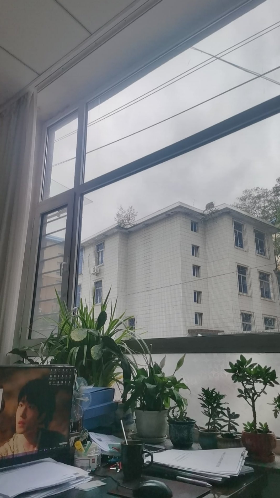 据说沈阳成了汪洋，我们这里还只是阴天呢 ​​​