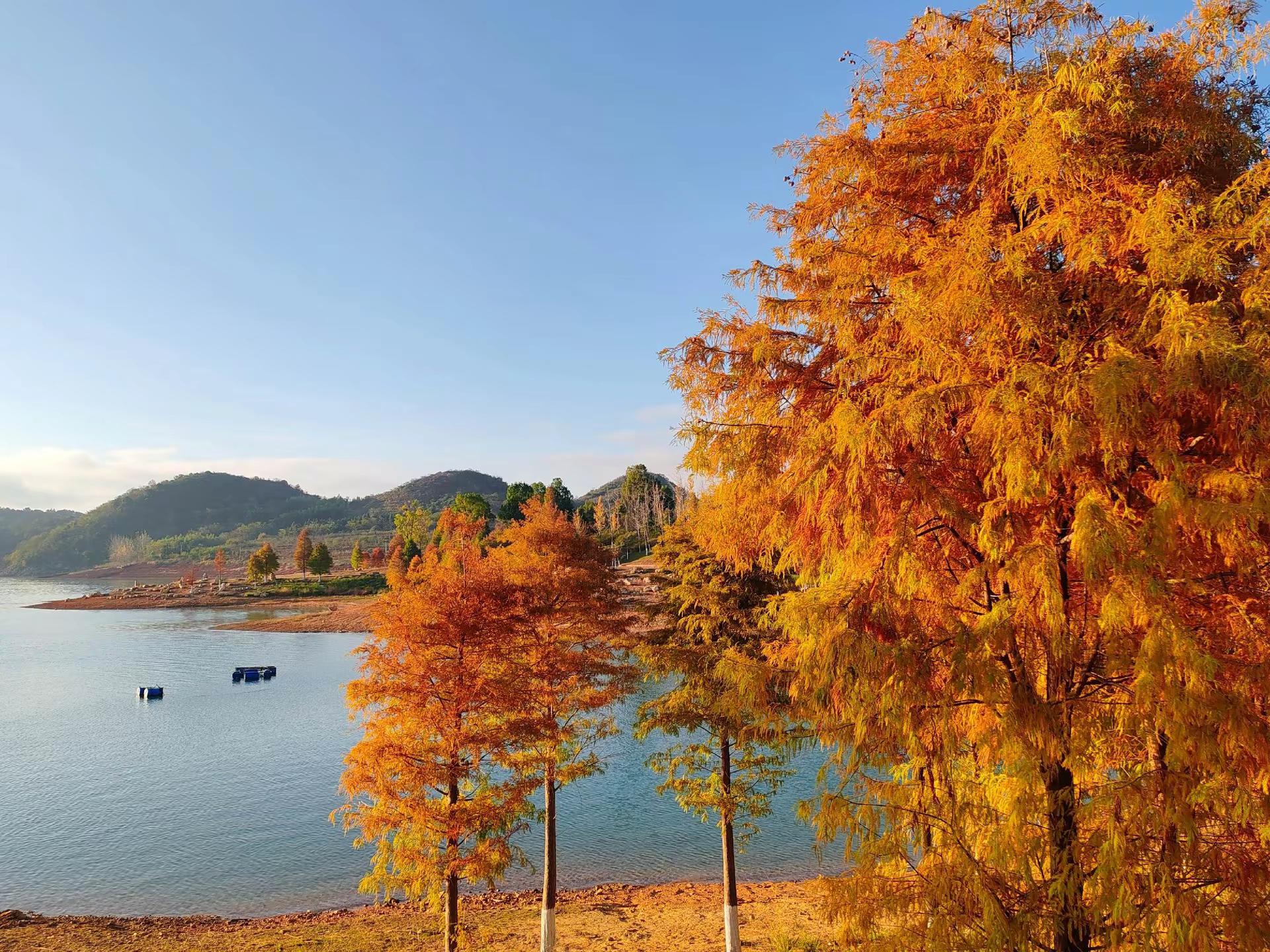 国庆开瑞虎8来到郴州白廊赏秋，环湖自驾，湖山秋景尽收眼底，人少不拥堵旅途畅快。秋日湖边美景 自然系美景